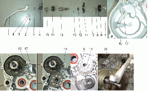 Starter assembly