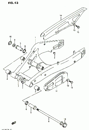 43-Takahaarukka