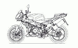 RSV 1000 Tuono 2006-2009