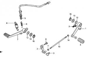 F19-Polkimet