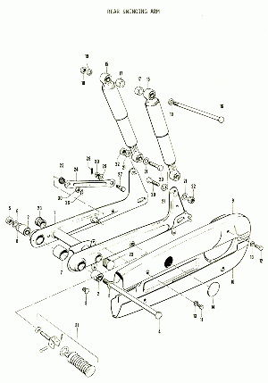 24-Takahaarukka