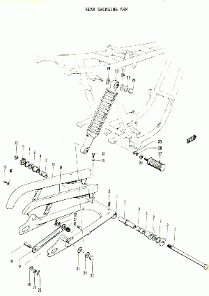 29-Takahaarukka