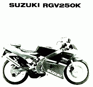 RGV 250 