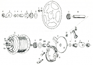 13-Takanapa Maillard