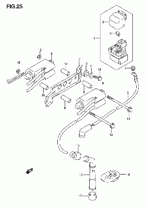 25-Puolat