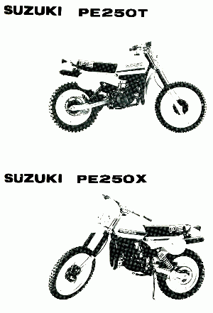 PE 250 X 1981