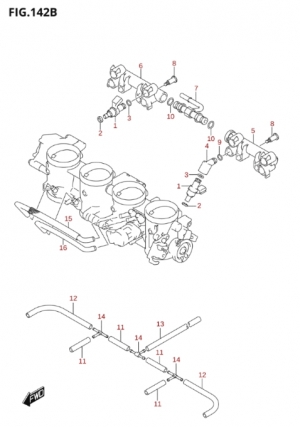 142B-Ruiskun letkustot