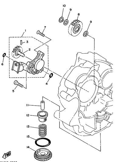 250 cc