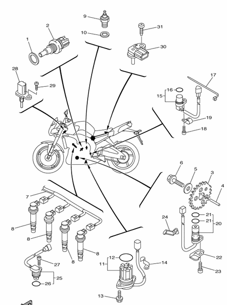 800 cc