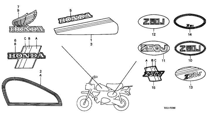 50 cc