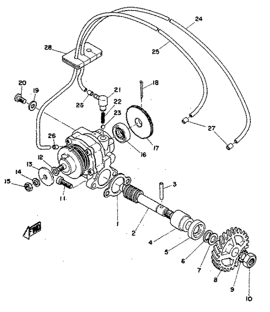 350 cc