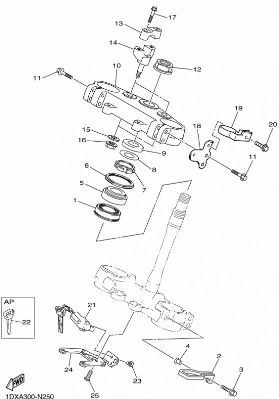 450 cc