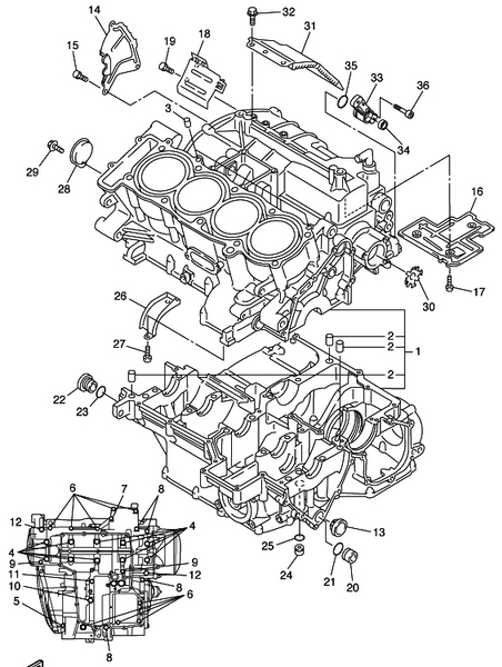 1300 cc