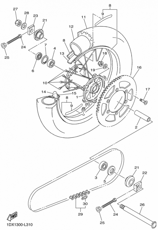 450 cc