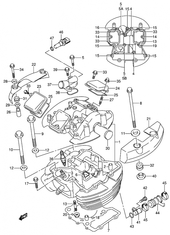 800 cc