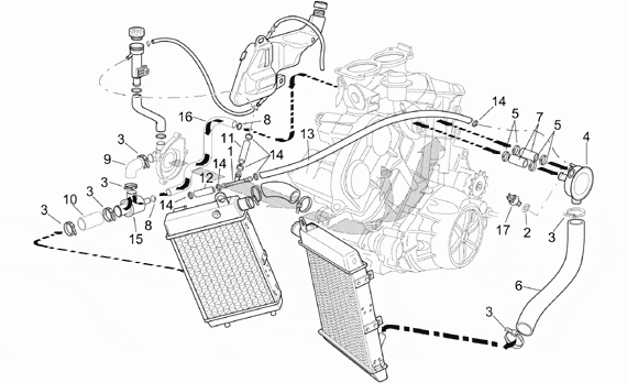 1000 cc