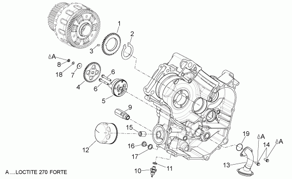 750 cc