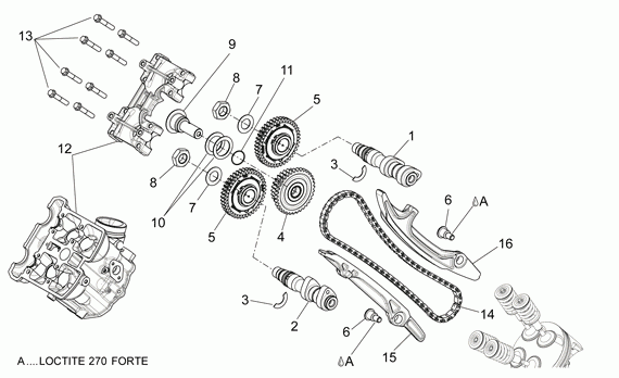 750 cc