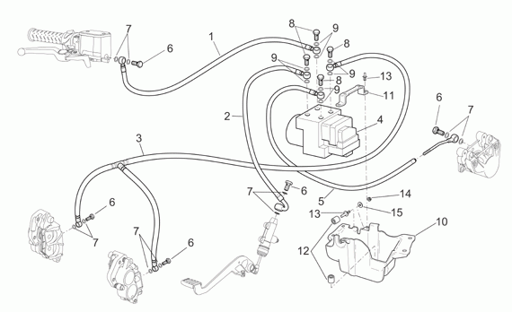 1000 cc