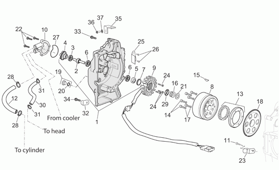 125-300 cc Scootterit