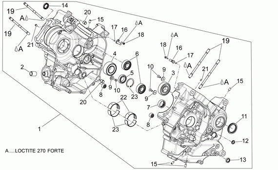 750 cc