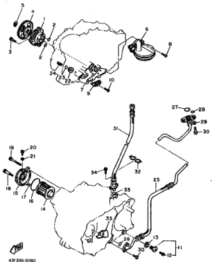 600 cc