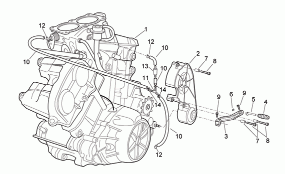 1000 cc