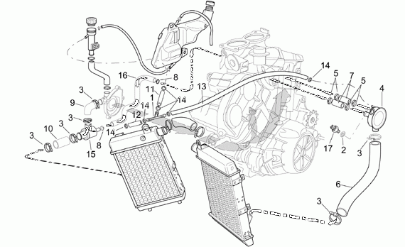 1000 cc