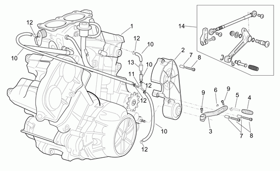 1000 cc