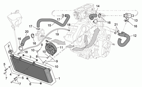 1000 cc