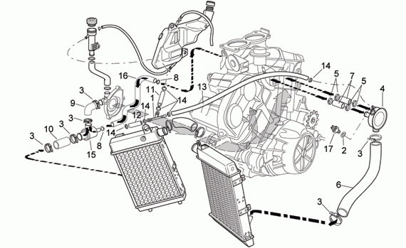 1000 cc