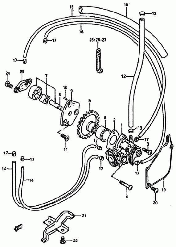 250 cc