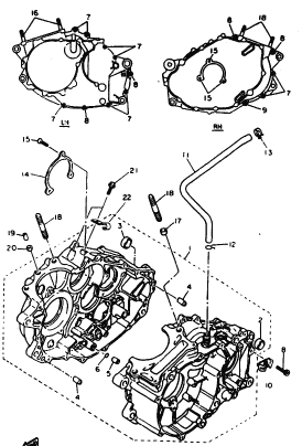 600 cc