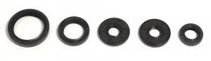 Engine oil seals kit